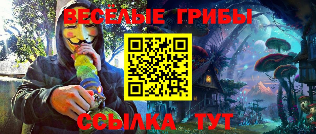 Галлюциногенные грибы Psilocybe  купить наркоту  Вход с VPN  Ирбит  Псилоцибиновые грибы Cubensis 