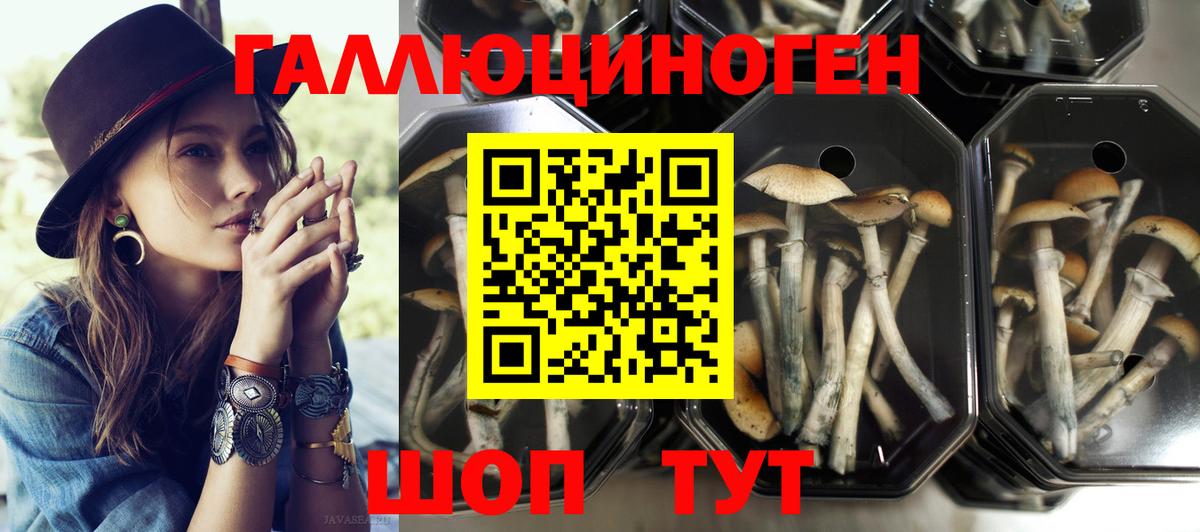 LSD-25  Кетамин  Меф МЯУ МЯУ   Вход с VPN  Ирбит  MDMA  ЭКСТАЗИ  Каннабис  COCAIN 